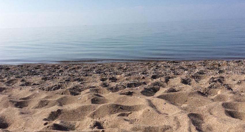 Beach, and more beach!